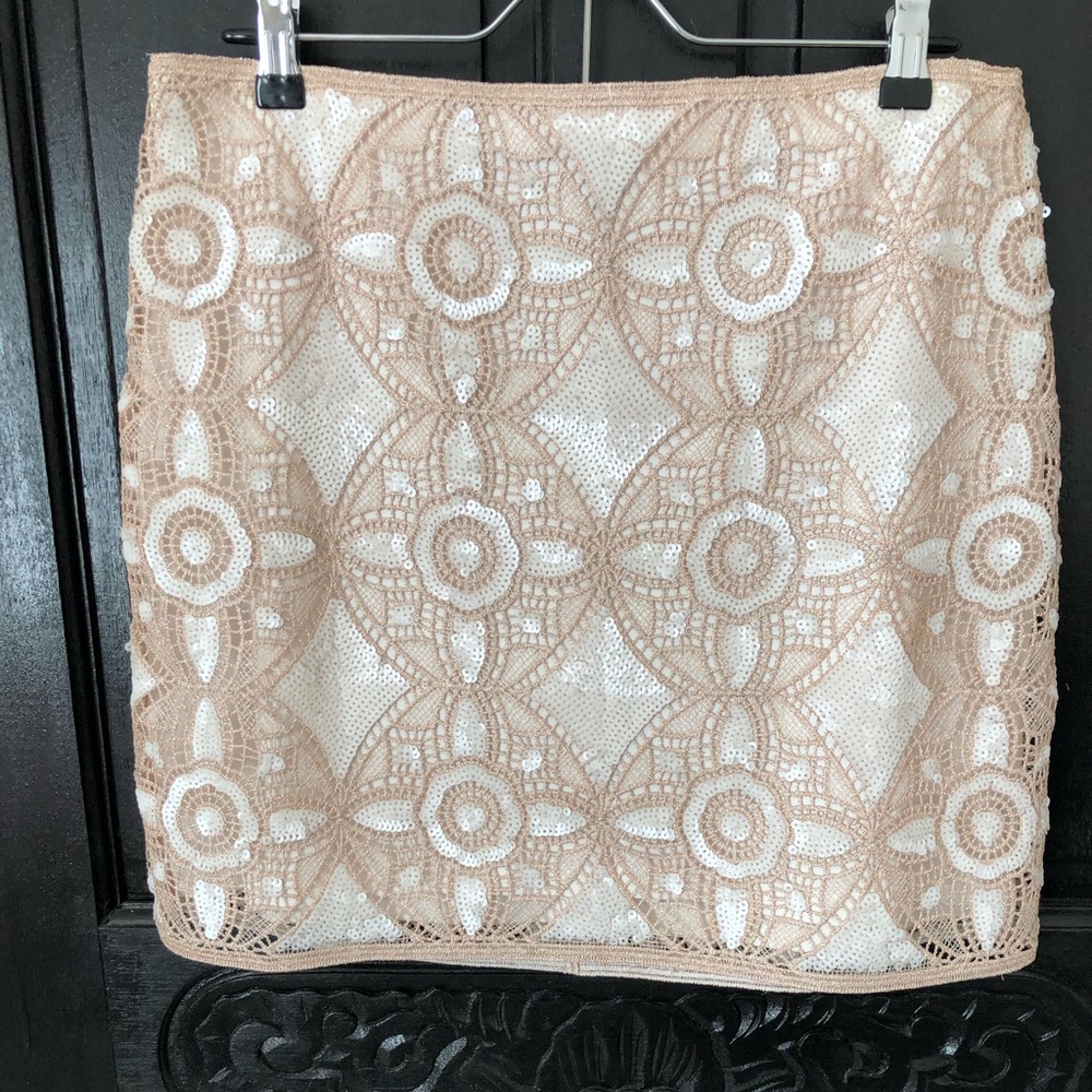 🔥SALE🔥 Embroidered Skirt from Express